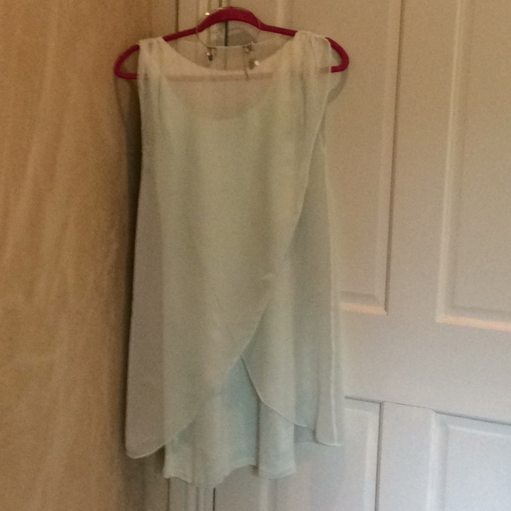 Alice + Olivia base sheer dress